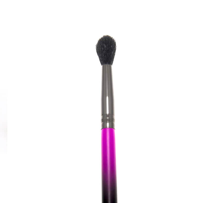 R20 Ultimate Blender Brush